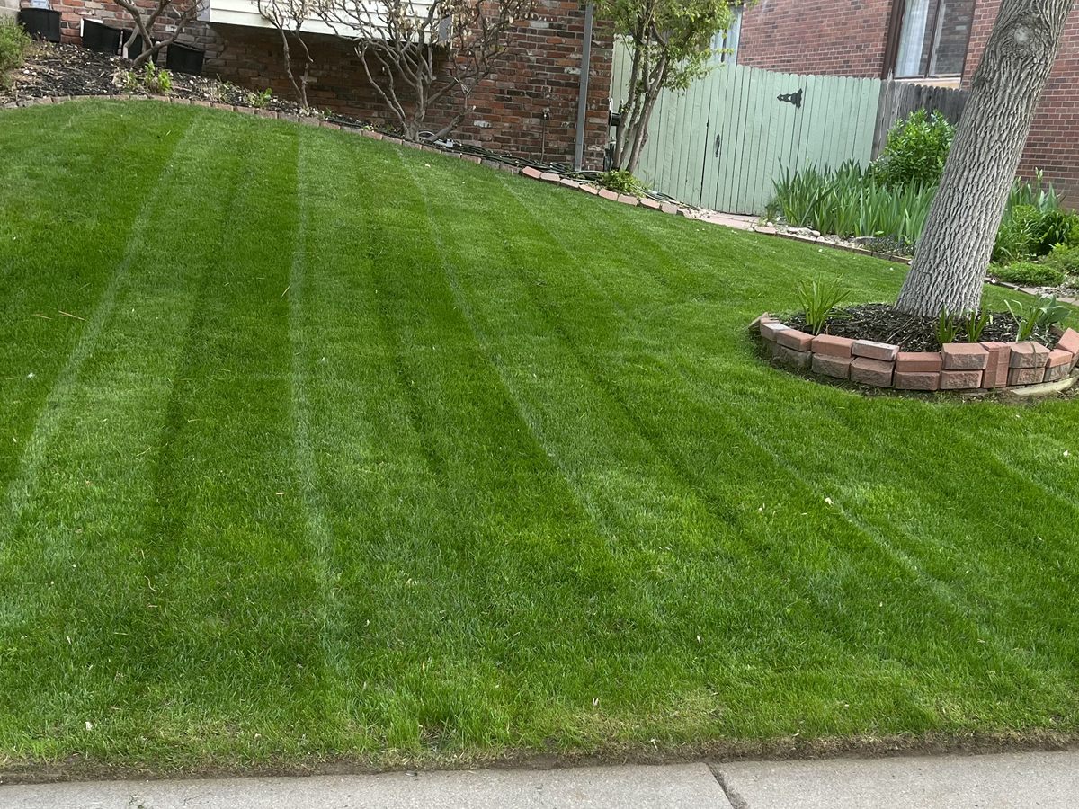 Freshly mowed lawn with crisp stripes and a brick tree ring
