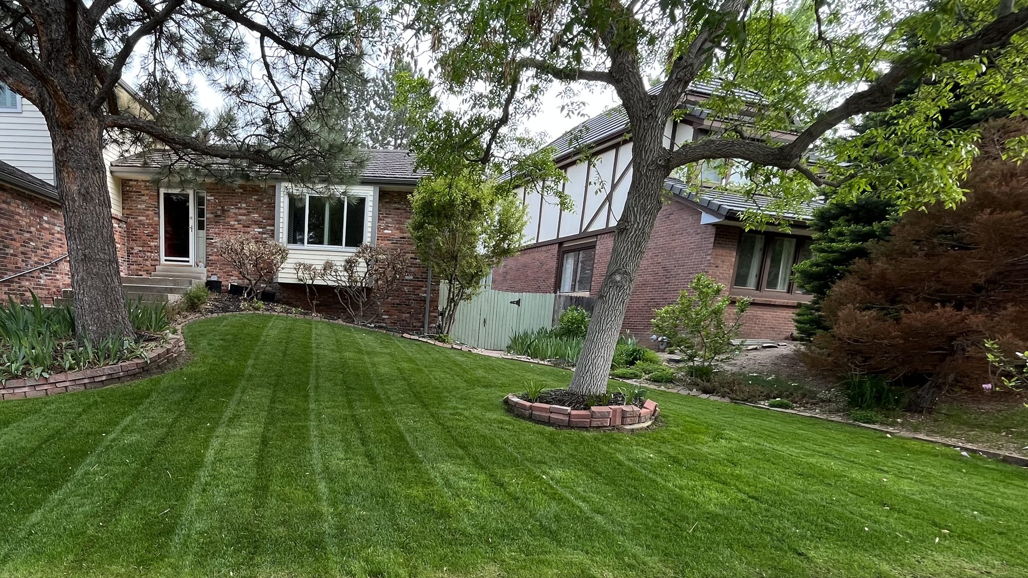 Freshly mowed front lawn with clean stripes