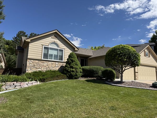 After: neatly shaped shrubs and rounded ornamental tree
