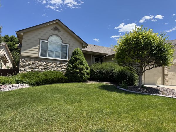 Before: overgrown front shrubs and ornamental tree