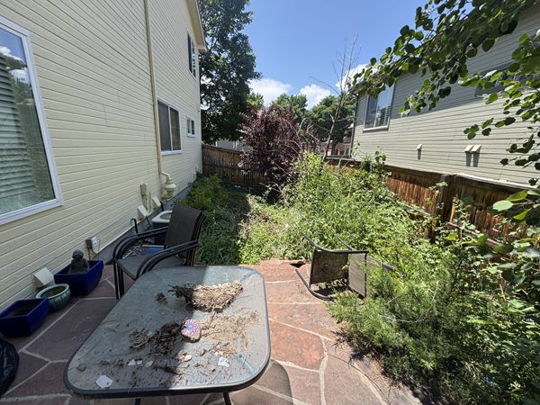 Before: flagstone patio overgrown with weeds and shrubs