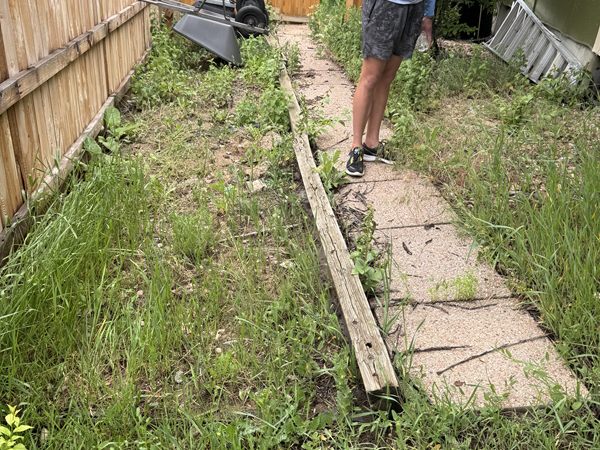 Before: side yard overgrown with weeds and tall grass
